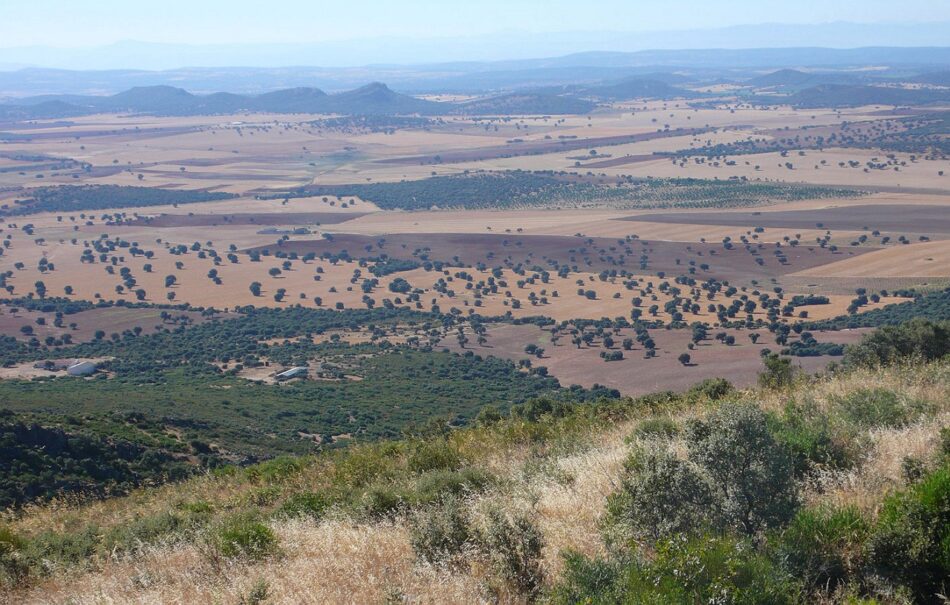 Organizaciones ecologistas se unen contra la minería de tierras raras en Castilla-La Mancha