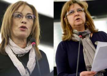 Vallina y López (IU) exigen a la CE una solución al “catastrófico” tratamiento del PP a las renovables