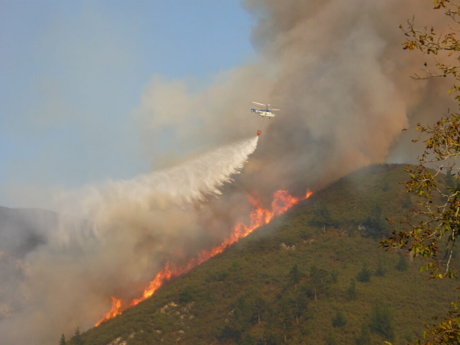 Ante los incendios forestales en Asturias los Grupos ecologistas reclaman a los grupos de la Junta General