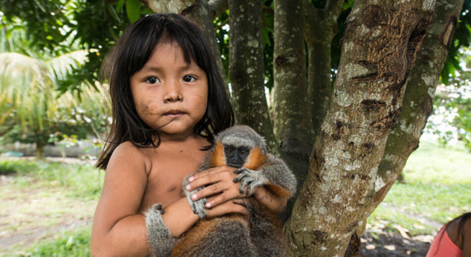 Greenpeace se vuelca en la Amazonia para luchar por la supervivencia de la tribu Mundurukú