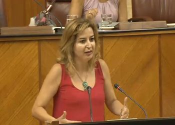 PP, PSOE y C´s impiden mejorar la situación financiera de los ayuntamientos andaluces