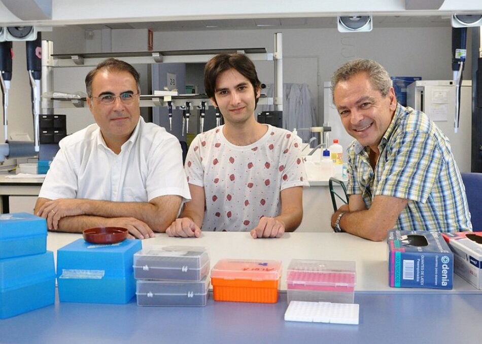 Un estudio evalúa la efectividad de los fármacos para Hepatitis C causada por diferentes genotipos del virus