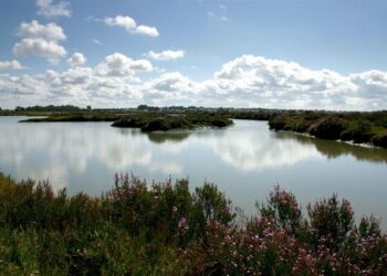 EQUO considera una “desfachatez” que el Gobierno esgrima el cambio climático para justificar la situación en Doñana