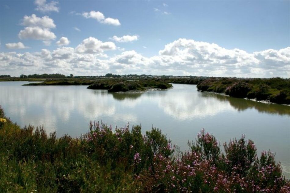 EQUO considera una “desfachatez” que el Gobierno esgrima el cambio climático para justificar la situación en Doñana