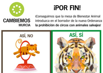 Cambiemos considera un «primer paso» la prohibición de circos con animales no domésticos en Murcia