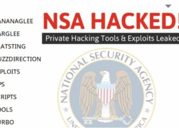 Pánico en EEUU ¿Quién hackeó la NSA?