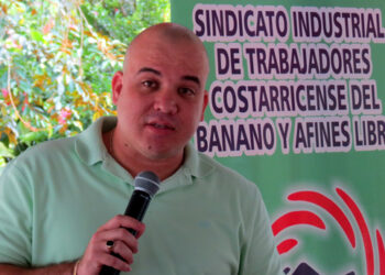 Costa Rica: Expansión del monocultivo de piña y la pérdida de derechos