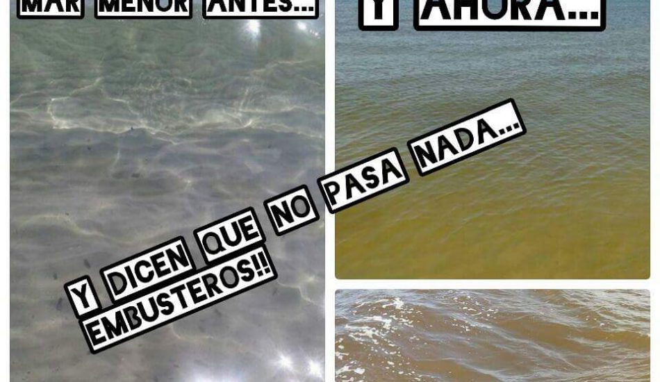 La Comisión Europea vigilará el estado del Mar Menor