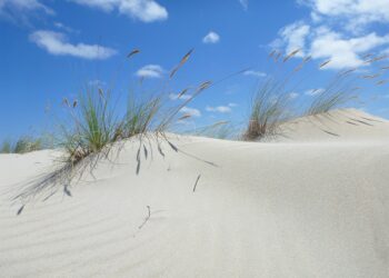 Salvemos Cabana recomienda proteger el complejo dunar de la Enseada da Ínsua durante la celebración del festival «V de Valarés»