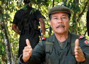 ELN desea éxitos a las FARC-EP, a pesar de no compartir acuerdo