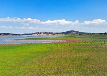 La Confederación Hidrográfica del Guadiana informa de manera desfavorable sobre la minería de tierras raras en Ciudad Real