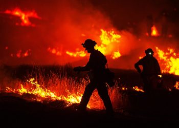 Amigos da Terra denuncia que a Xunta pide colaboración fronte aos lumes mentres aproba leis que os perpetúan