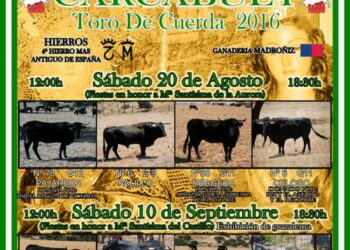 EQUO reclama a la Junta de Andalucía la suspensión del Toro de Cuerda de Carcabuey por maltrato animal