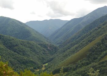 Coordinadora Ecoloxista d’Asturies se opone a una nueva carretera atravesando la reserva de Muniellos como pretenden el Ayuntamiento y el Principado
