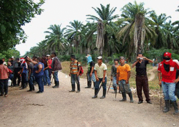 Honduras: Guardias de poderoso terrateniente hieren a campesinos y defensores en violento desalojo