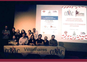 El Consejo Nacional de Organizaciones de Veterinarios de Francia se pronuncia en contra de la tauromaquia