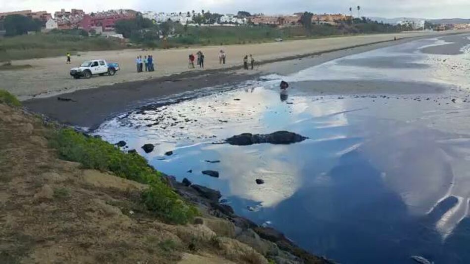 EQUO reprocha la falta de agilidad en el tratamiento del vertido de crudo en Algeciras