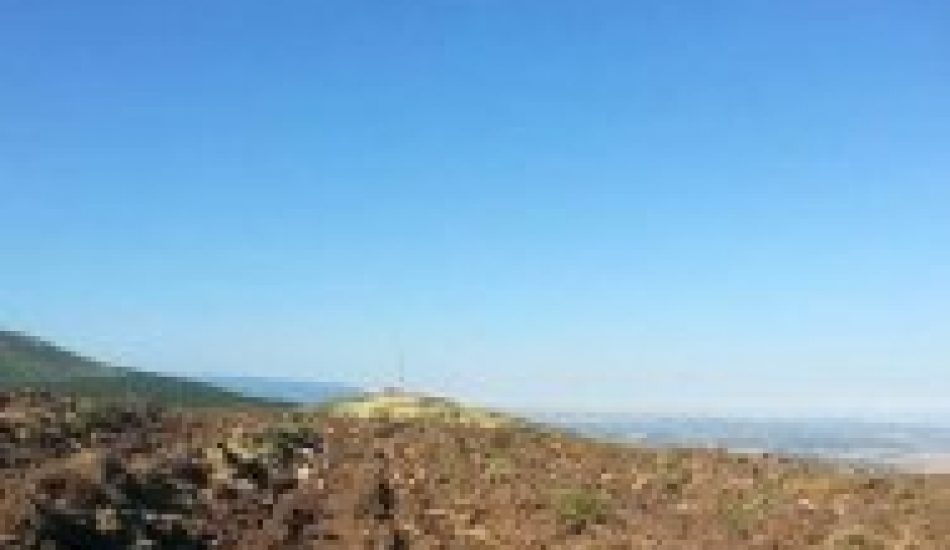 Destrucción de 91 hectáreas de monte en el Parque Natural de la Sierra de Guadarrama