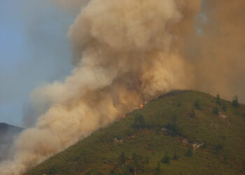 Los representantes ambientales en el Consejo Forestal y el Consejo del Fuego exigen su opinión sobre la modificación de los acotamientos en Asturias