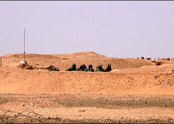 IU denuncia la violación del alto el fuego por parte de Marruecos en el Sáhara Occidental