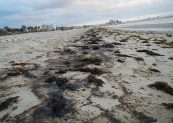 Piden el fin de vertidos de hidrocarburos en la Bahía de Algeciras