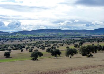 Un informe del MAGRAMA revela que la minería de tierras raras en Castilla-La Mancha no es ambientalmente viable