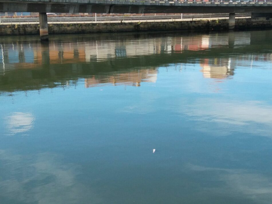 Un nuevo  vertido en la ría de Avilés