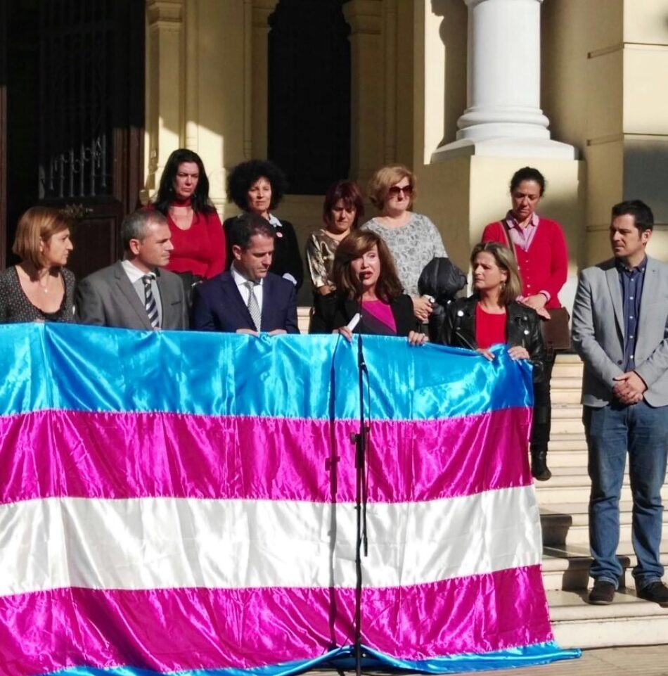 La Plataforma por los Derechos Trans celebra la implicación del la Asamblea de Madrid, Parlamento Andaluz y Eurodiputadas/os en el Día Internacional de la Memoria Trans