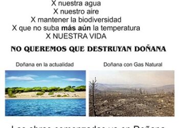 Apoyan la acción de la Coordinadora Doñana Lives