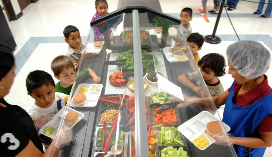 La normativa sobre comedores escolares en España dificulta la adopción de alternativas ecológicas