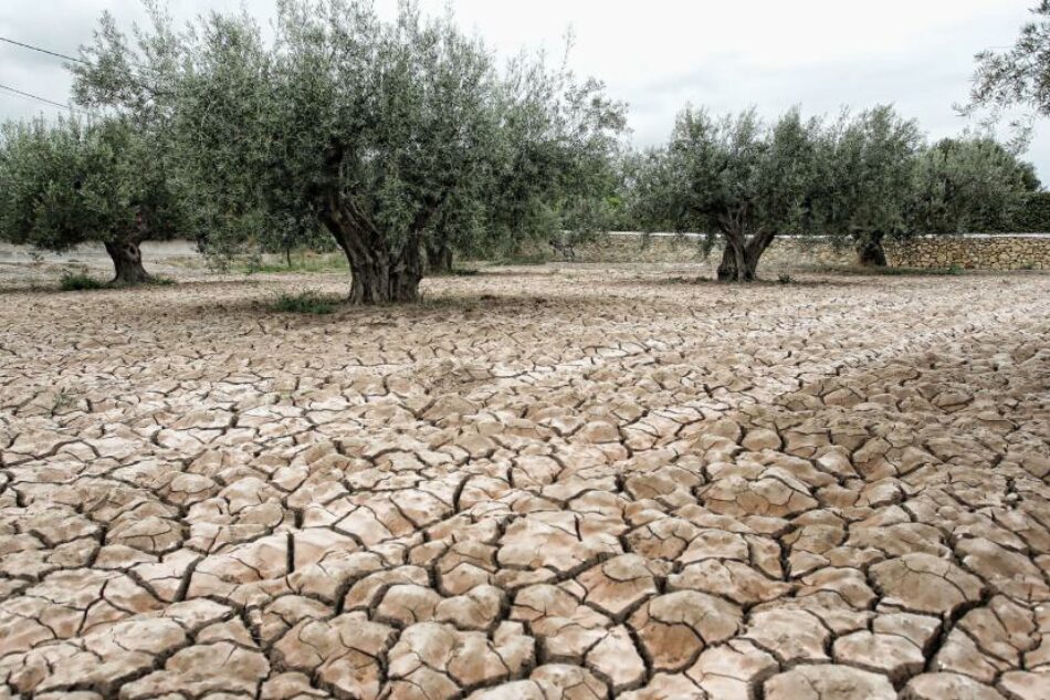 EQUO pide con urgencia una ley de cambio climático