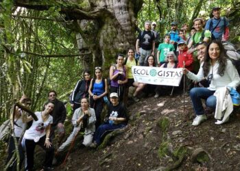 2016: Otro año sin hacer lo necesario por el medio ambiente