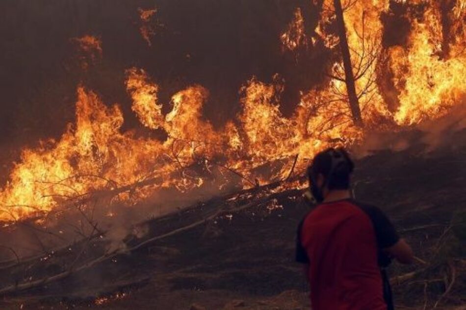Chile vive el peor desastre forestal de su historia