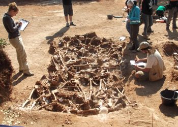 En Comú Podem pregunta al Gobierno por la investigación de los crímenes franquistas a la que insta el Parlamento Europeo