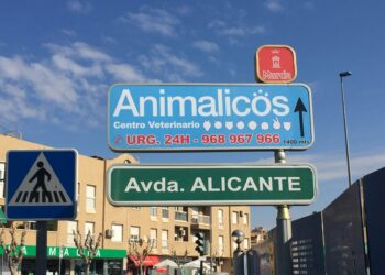 Cambiemos Murcia exige avances en la solución de la publicidad irregular en espacios públicos