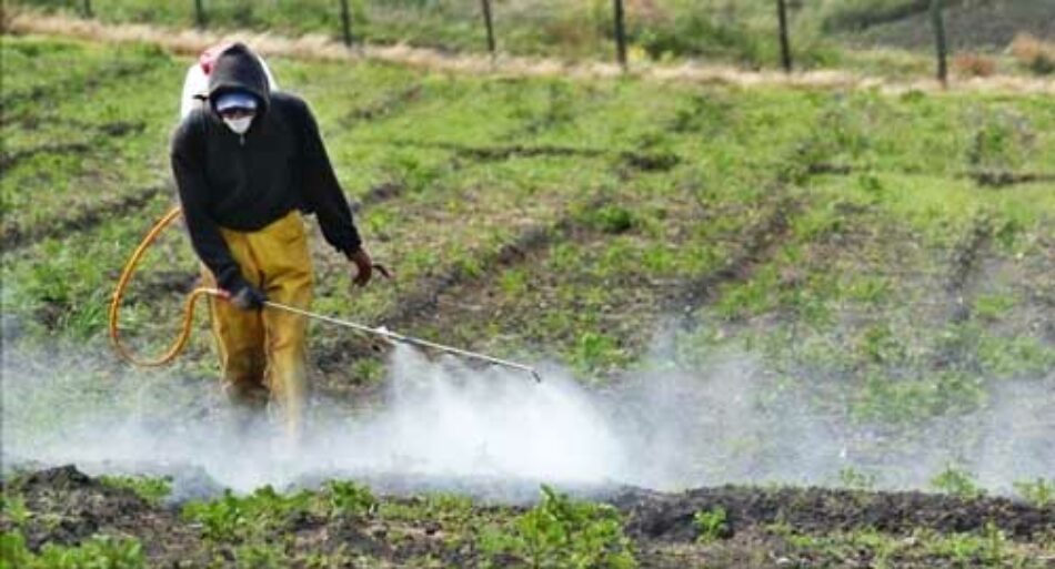 Acción en Madrid, París, Roma, Bruselas y Berlín: organizaciones lanzan una Iniciativa Ciudadana Europea para prohibir el glifosato