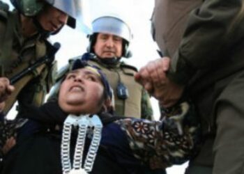 Nación Mapuche: Amnistía Internacional da cuenta del uso excesivo de la fuerza policial y de detenciones arbitrarias a mapuches