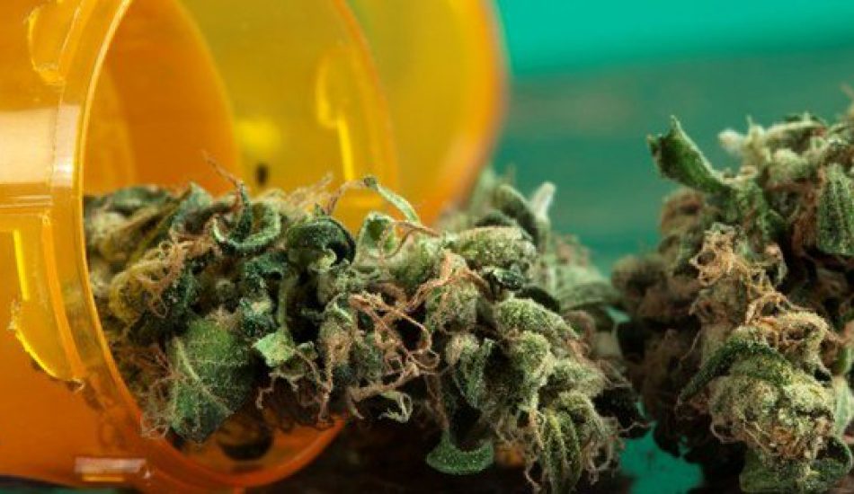 La Federación de Asociaciones Cannábicas denuncia una persecución en su contra