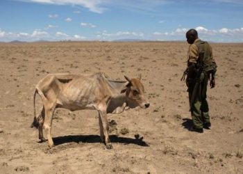 Hambruna en Somalia, Etiopía y Kenia por sequía