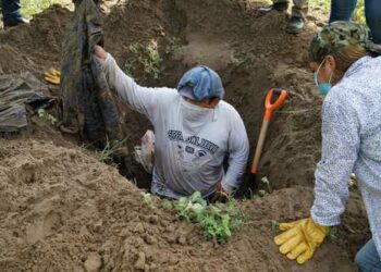 Se han hallado 253 cuerpos en 120 fosas clandestinas en Veracruz, México