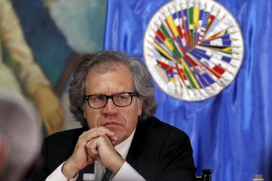 Eurodiputado Javier Couso denuncia que Almagro llama al desconocimiento de la institucionalidad venezolana