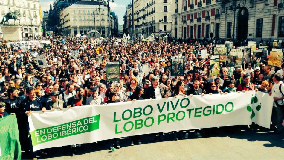 Miles de personas piden en Madrid que se dejen de matar lobos al grito de ‘Lobo vivo, lobo protegido’