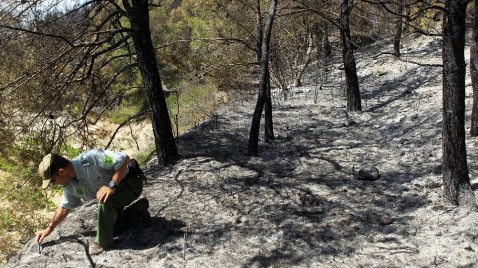 En Comú Podem registra una moción para mejorar las condiciones laborales y de seguridad de los agentes forestales