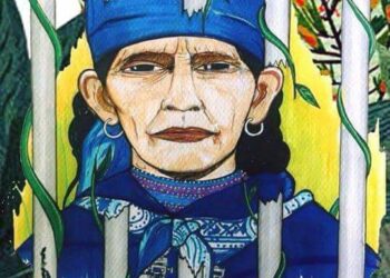 Nación Mapuche. Actualización de la situación judicial de la Machi Francisca Linconao y movilización