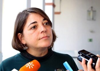 IU considera que PSOE y C´s «se han llevado el gato al agua» al impedir que los andaluces sepan «la verdad» de cursos de formación