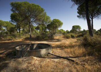 Equo reclama nuevamente el cierre efectivo de los pozos ilegales en Doñana