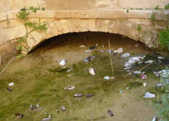 Cambiemos Murcia denuncia el estado de suciedad del canal de los Molinos del Río