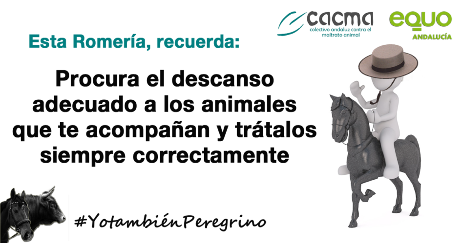 Cacma y EQUO se unen este Rocío para pedir que se extreme el cuidado de los animales que participan en la romería