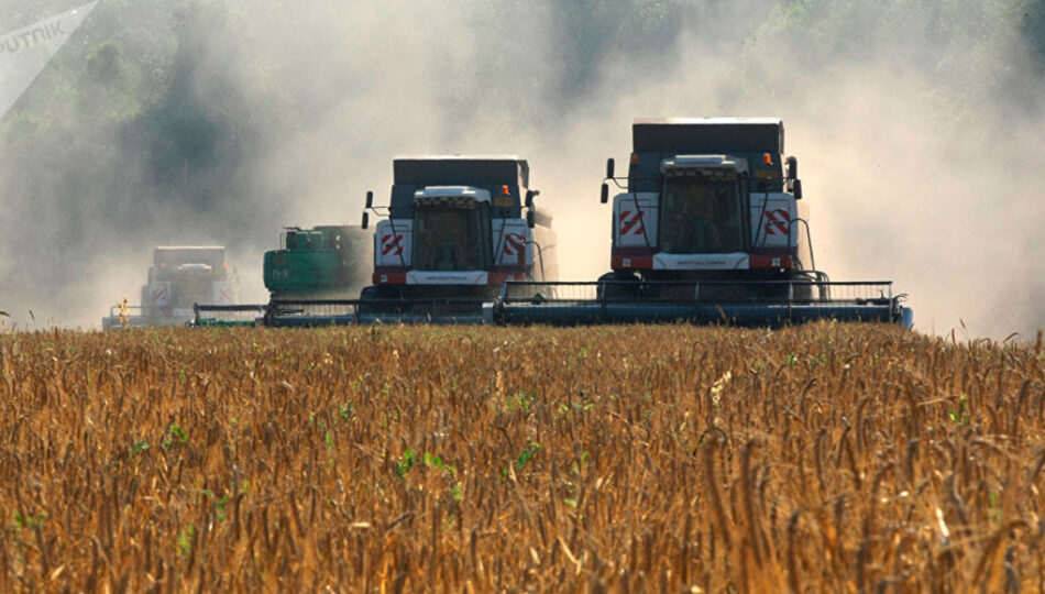 “Las sanciones occidentales han convertido a Rusia en una superpotencia agrícola”.. Y sin transgénicos