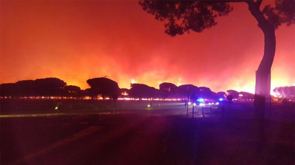 Las organizaciones ecologistas piden que se esclarezcan urgentemente las causas del incendio en Doñana
